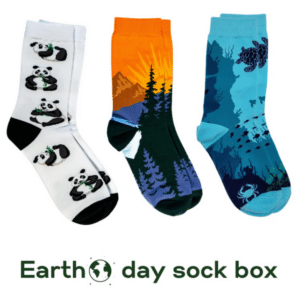 Earth Day Sock Box